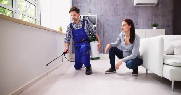 Professional Pest Control in Paulden, AZ